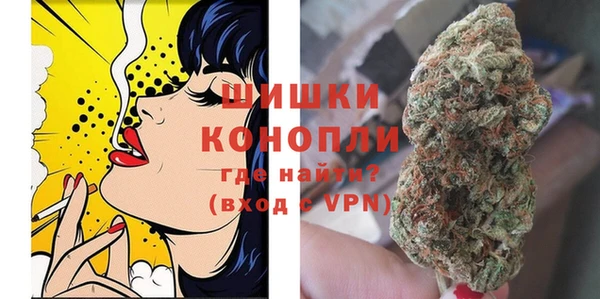 spice Вяземский