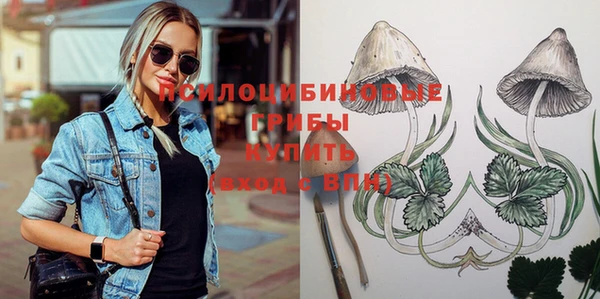 таблы Вязьма